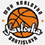 https://img.xqjzzscl.com/img/basketball/team/0c2f73d2ab7041cf90029a20deff7f17.gif